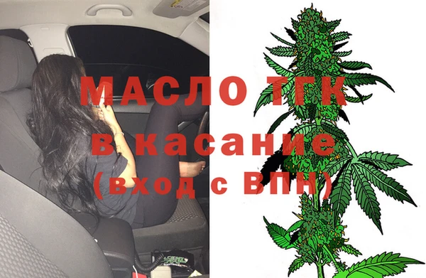 стаф Алексин