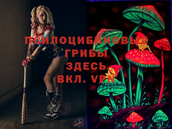 стаф Алексин