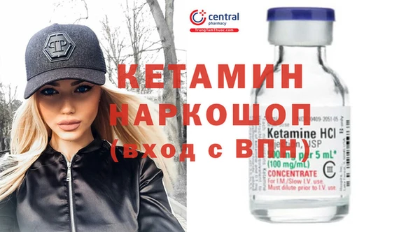 стаф Алексин