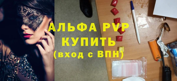 стаф Алексин