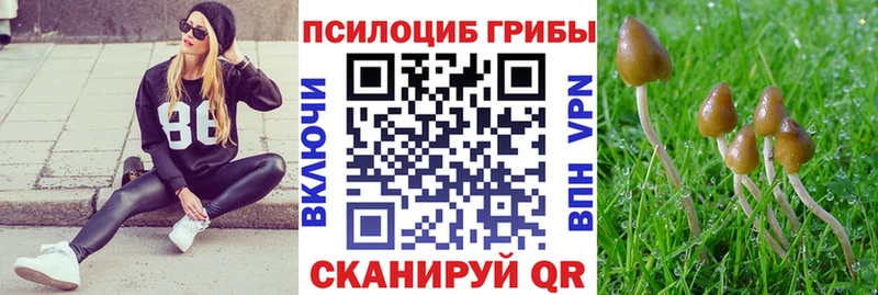 Галлюциногенные грибы GOLDEN TEACHER  мега ТОР  Себеж 